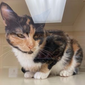 Meet your Posher, Jerry